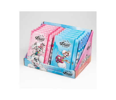 CARNET + STYLO A6 DIDDL