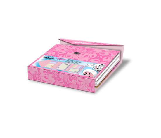 SET A5 NOTES AUTOCOLLANTES DIDDL