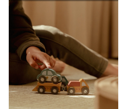 ENSEMBLE DE VEHICULES EN BOIS FSC