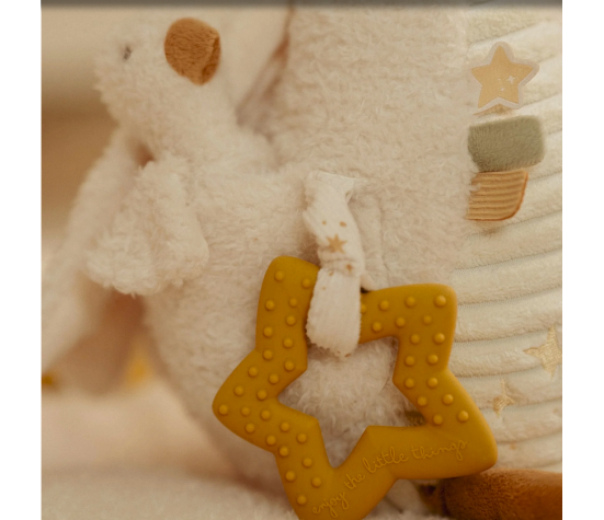 PELUCHE D'ACTIVIT�S OIE - NEWBORN