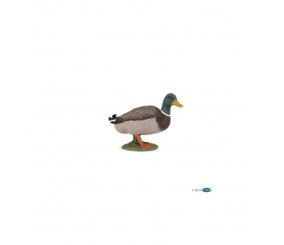 CANARD COLVERT