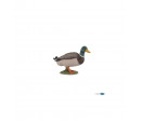CANARD COLVERT