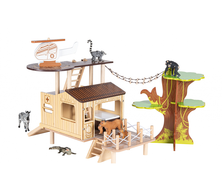 HOPITAL DE LA BROUSSE HOPITAL DE LA BROUSSE