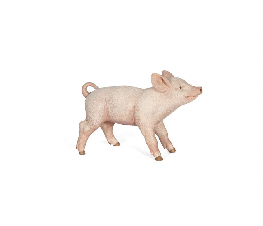 COCHONNET FEMELLE
