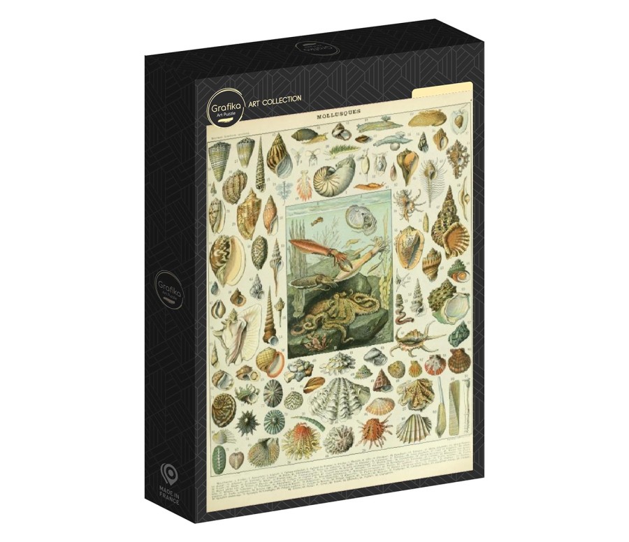 ILLUSTRATION DU NOUVEAU LAROUSSE ILLUSTRE :MOLLUSQUES, XIXE SIECLE