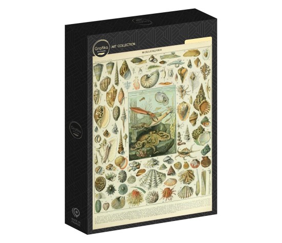 ILLUSTRATION DU NOUVEAU LAROUSSE ILLUSTRE :MOLLUSQUES, XIXE SIECLE