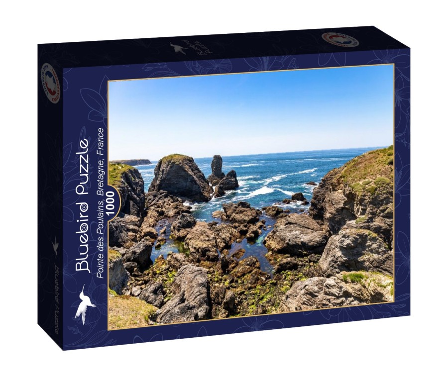 POINTE DES POULAINS, BRETAGNE, FRANCE