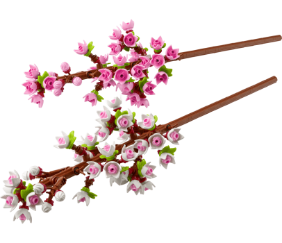 BOTANICALS - Les Fleurs de Cerisier