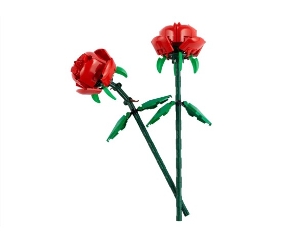 BOTANICALS - Les Roses