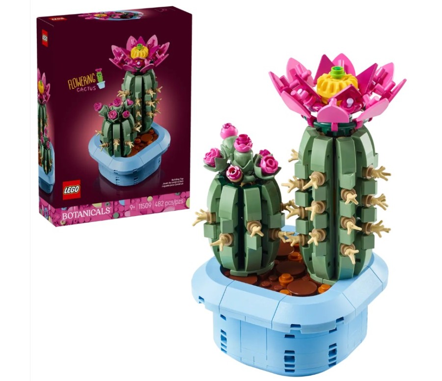 BOTANICALS - Cactus Fleuri
