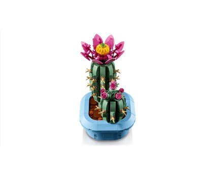 BOTANICALS - Cactus Fleuri
