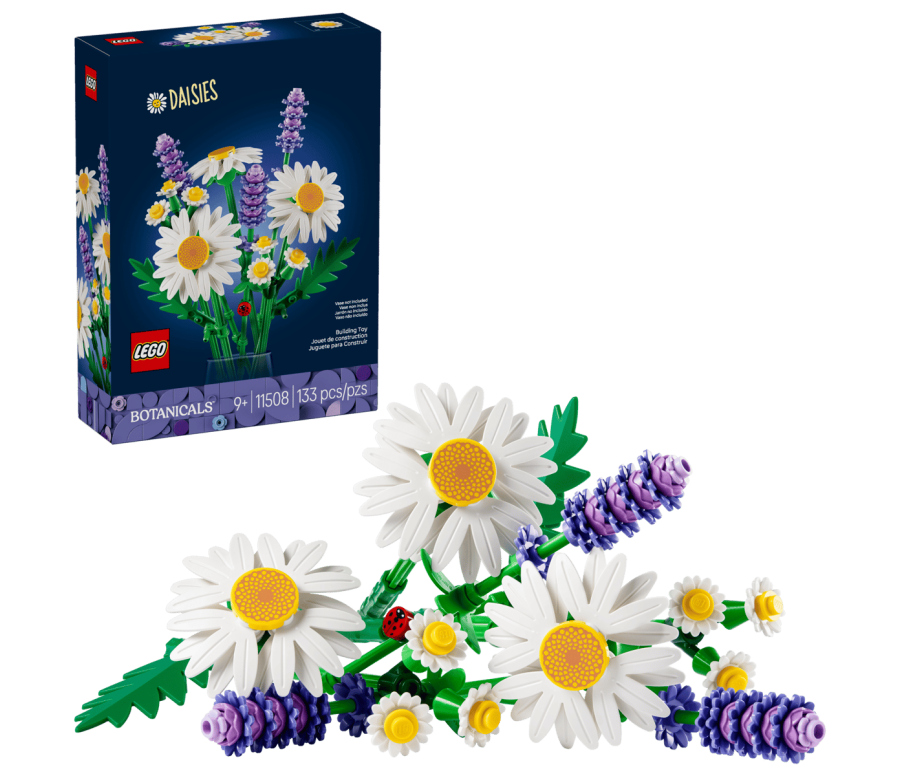 BOTANICALS - Marguerites BOTANICALS - Marguerites