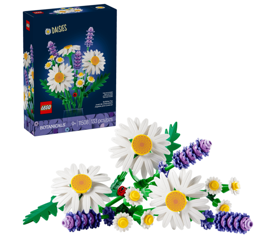 BOTANICALS - Marguerites