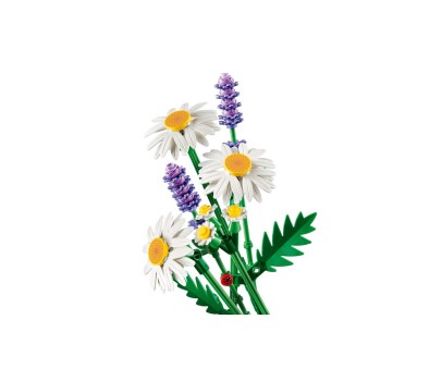 BOTANICALS - Marguerites