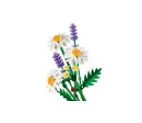 BOTANICALS - Marguerites BOTANICALS - Marguerites