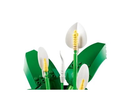 BOTANICALS - Les Fleurs de Lune