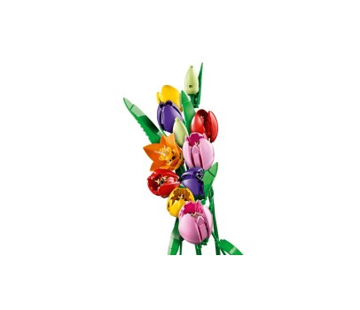 BOTANICALS - Le Bouquet de Tulipes
