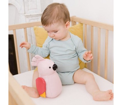 Les Animaux Musicaux - Paris la Perruche