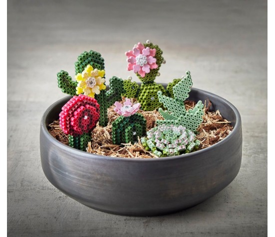 HAMA - Boîte Art Cactus