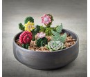 HAMA - Boîte Art Cactus