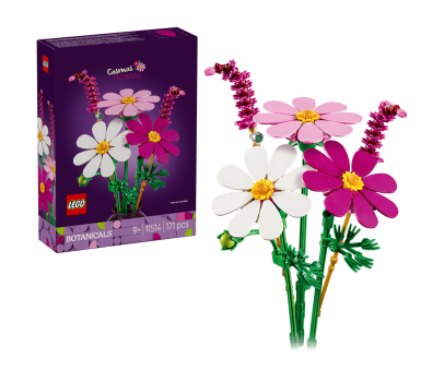 BOTANICALS -  Les cosmos