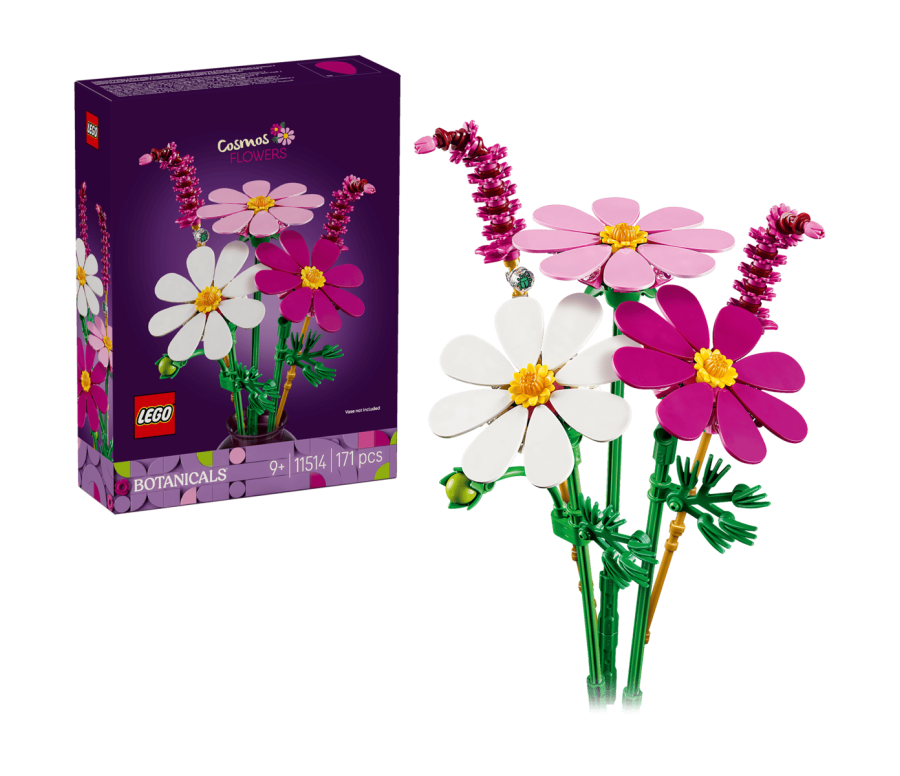 BOTANICALS -  Les cosmos