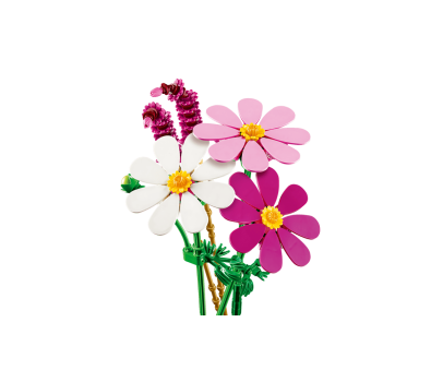 BOTANICALS -  Les cosmos