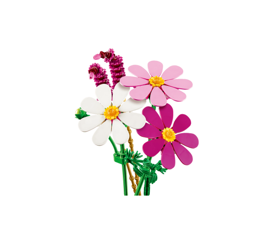 BOTANICALS -  Les cosmos