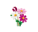 BOTANICALS -  Les cosmos