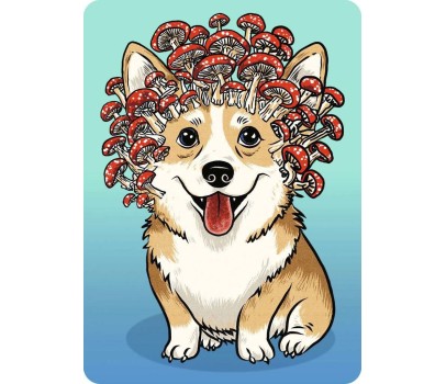 Puzzle 100P - Corgi Forestier