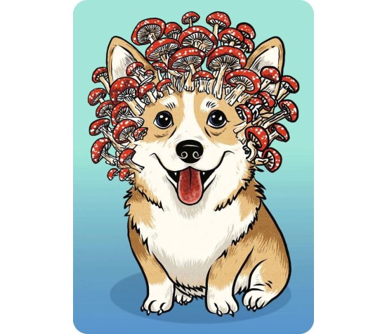 Puzzle 100P - Corgi Forestier