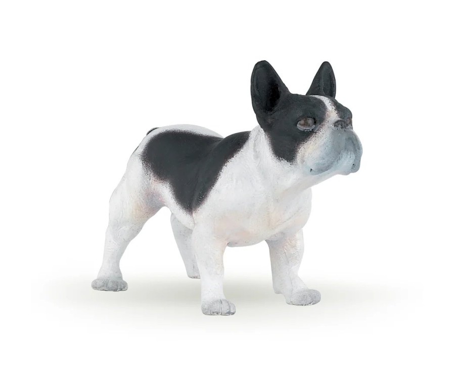 Bouledogue français noir et blanc