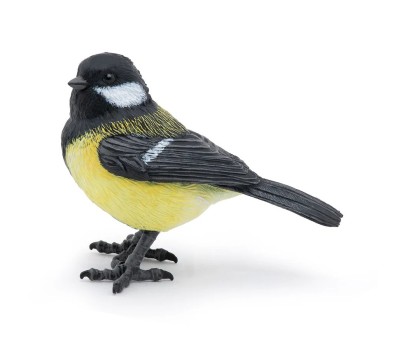 Mésange
