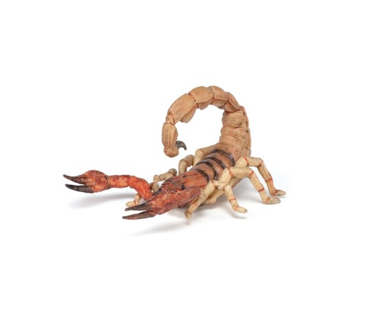 Scorpion