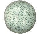 Ballon de Plage - Léopard Vert 51cm