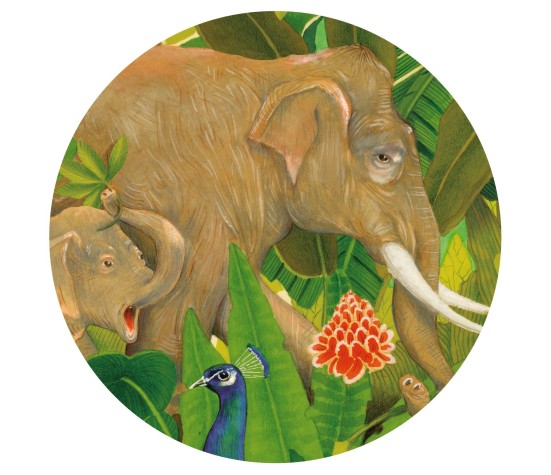 Puzzle 1000p - Hidden in the Nature - FSC MIX
